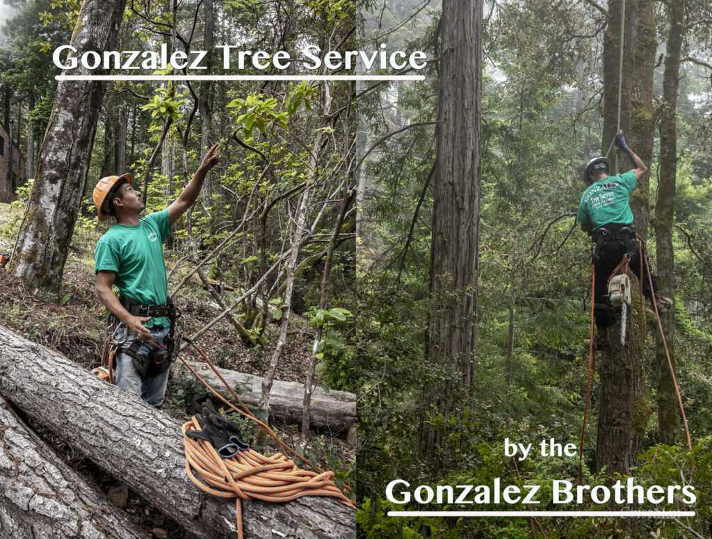 Jaime and Isidro Gonzalez in the forest.