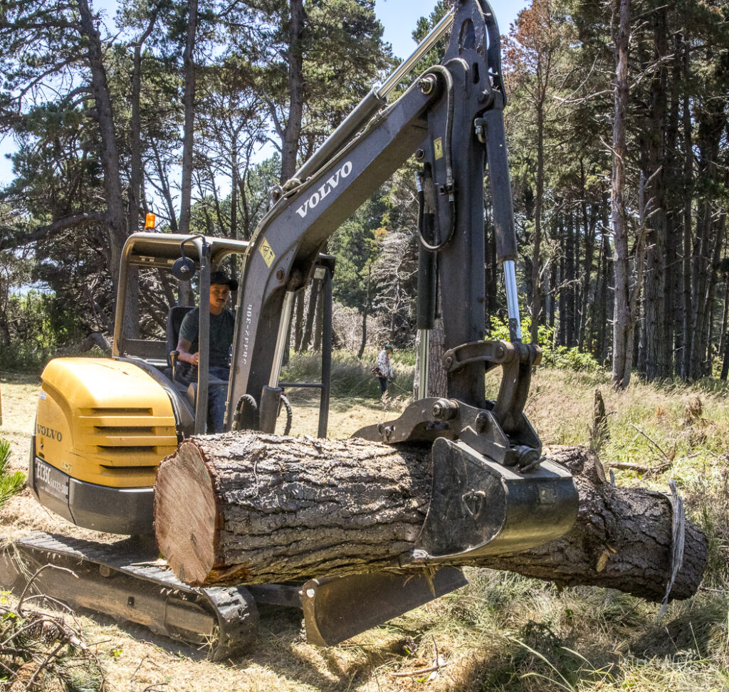 Jaime Gonzalez moving a freshly cut log.